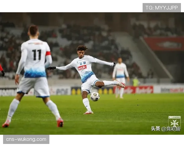 勒阿弗尔主场1-1战平欧塞尔，西纳约科破门埃博诺格扳平